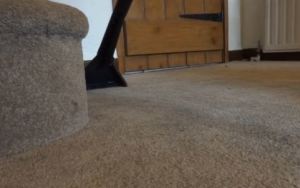 cleaning dirt carpet
