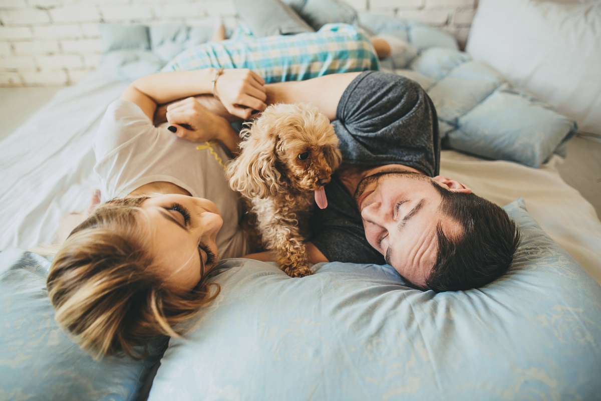 How Caring for Dogs Prepares Couples for Parenthood