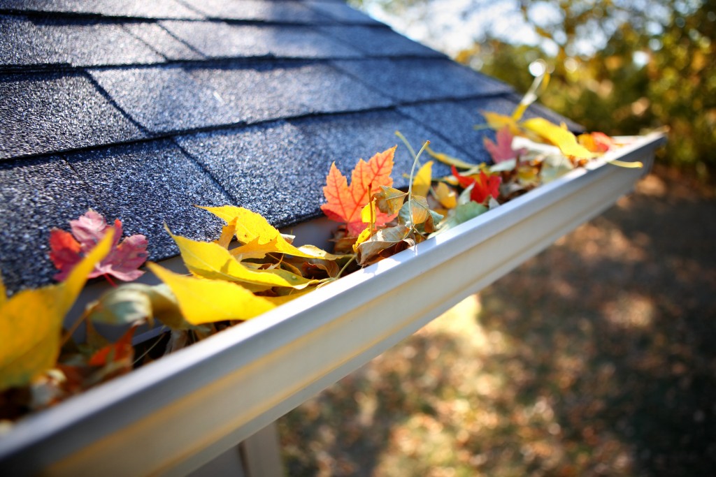 Homely Reasons to Take Gutter Cleaning Seriously
