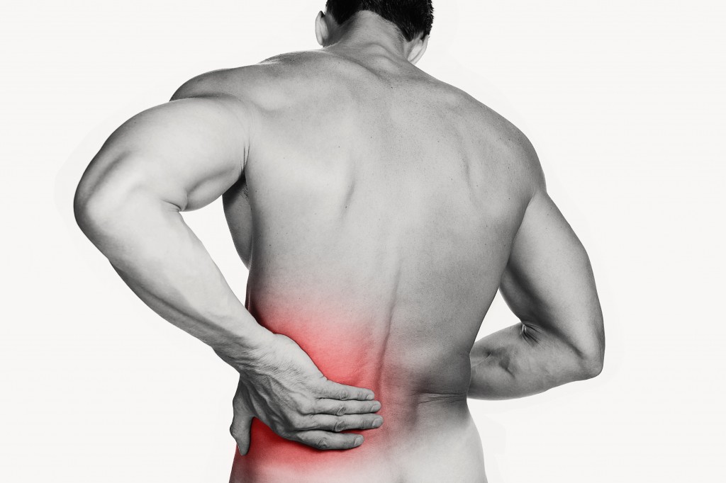 No to Back Pain: Why You Really Need an Ergonomic Chair