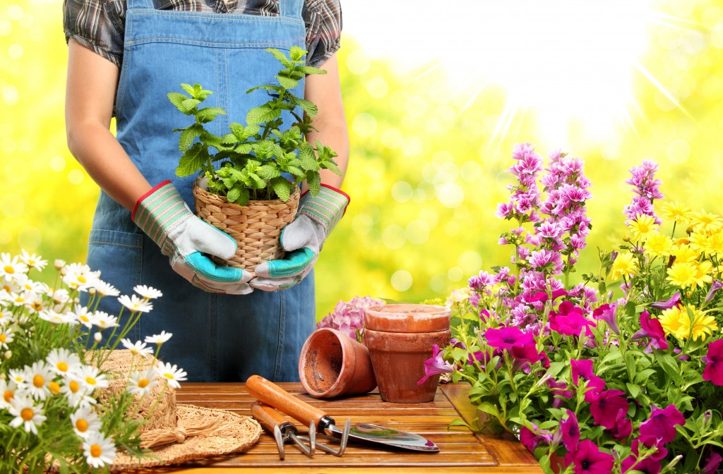 Planning Your Garden Using These Apps