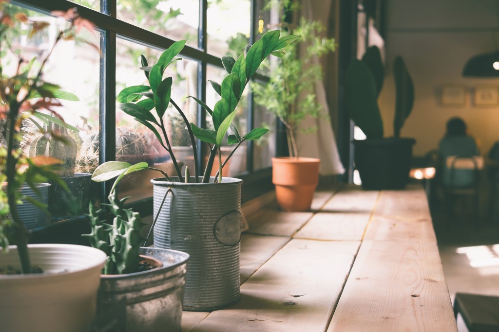4 Steps to Invite Nature into Your Home