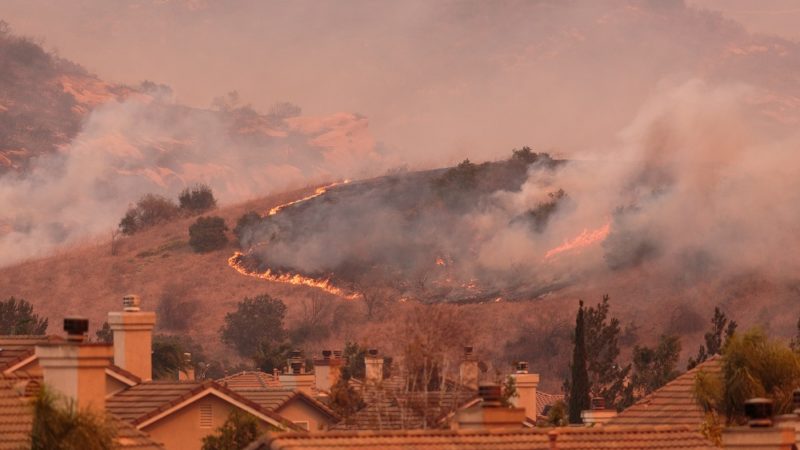 Fighting Wildfires: A Closer Look at The Strategies Used by Firefighters