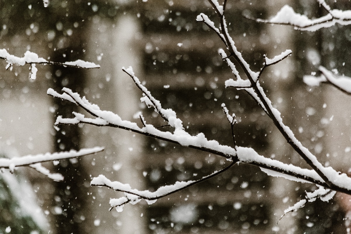 Winter Blues: the Negative Impact of Cold Weather on Mental Health
