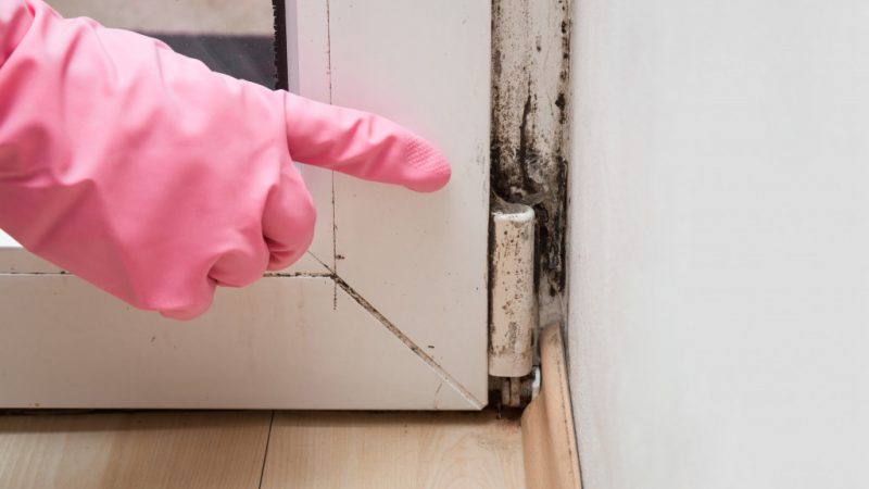 How You Can Start Property Cleaning Services