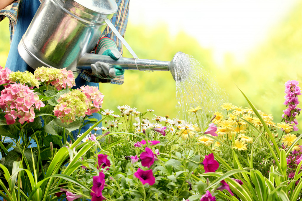 Caring for Your Garden During Summer Season