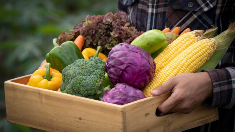 Steps to Start a Fruits and Vegetable Business from Home