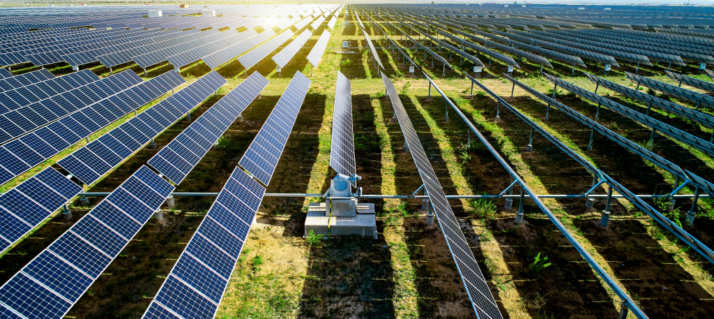 Solar panels set up in a solar energy farm.