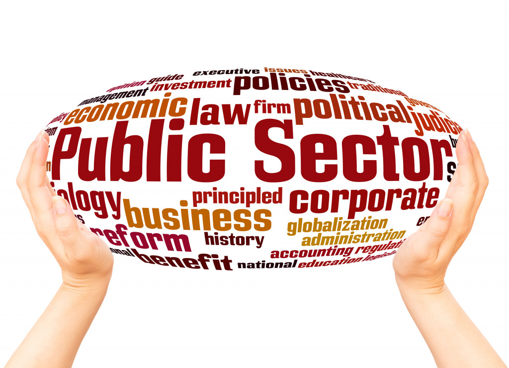 How to Succeed in Business by Working Closely with the Public Sector